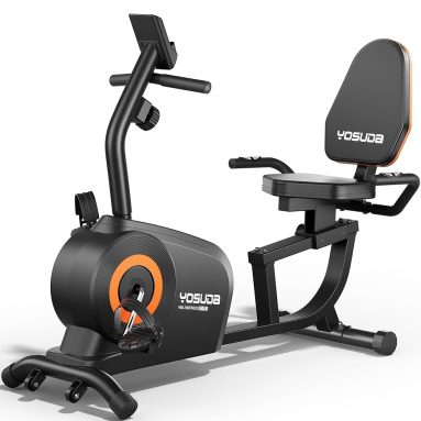 Recumbent Exercise Bikes